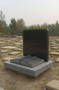 點(diǎn)擊查看詳細(xì)信息<br>標(biāo)題：石墓碑 閱讀次數(shù)：2052