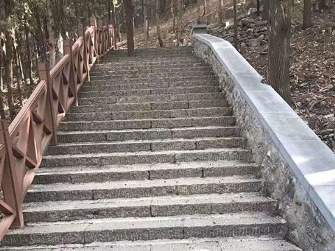 點(diǎn)擊查看詳細(xì)信息<br>標(biāo)題：臺(tái)階石 閱讀次數(shù)：3156