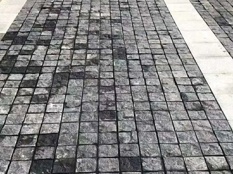 點(diǎn)擊查看詳細(xì)信息<br>標(biāo)題：馬蹄石 閱讀次數(shù)：3644