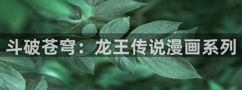 风车漫画官网免费版：斗破苍穹：龙王传说漫画系列