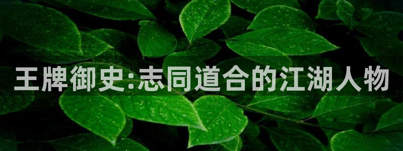 风车漫画在线观看：王牌御史:志同道合的江湖人物