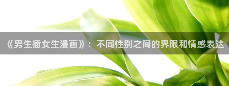 风车漫画免费：《男生插女生漫画》：不同性别之间的界限和情感表达