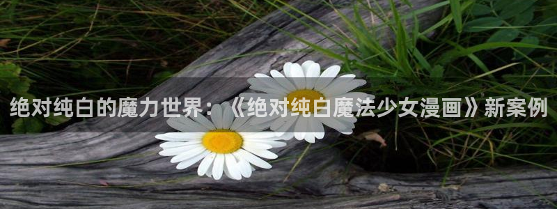 风车漫画在线观看：绝对纯白的魔力世界：《绝对纯白魔法少女漫画》新案例